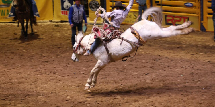 Schedule of 59th Annual Dixie National Livestock Show and Rodeo Events Taking Place Monday, February 12, and Tuesday, February 13