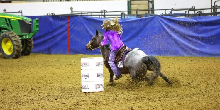 Schedule of 59th Annual Dixie National Livestock Show and Rodeo Events Taking Place Wednesday, February 14 and Thursday, February 15
