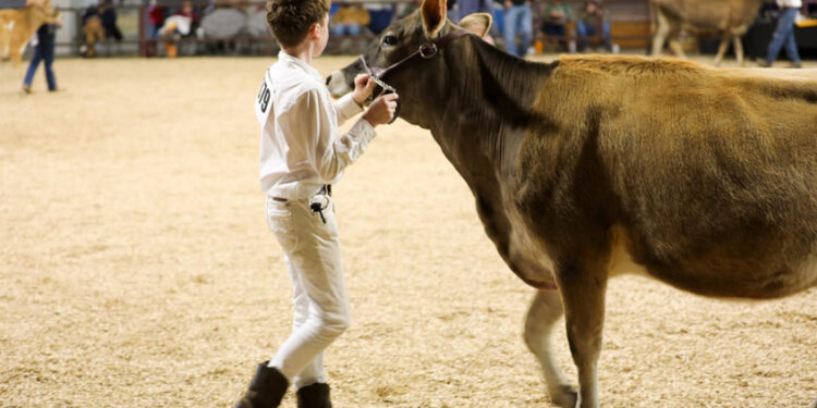Schedule of 59th Annual Dixie National Livestock Show and Rodeo Event