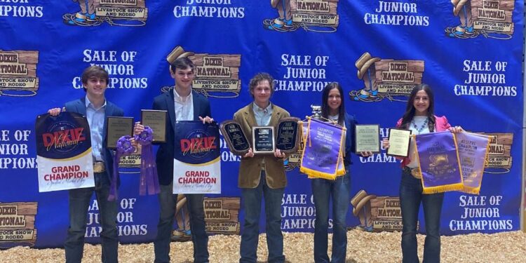 SCTC FFA Members Represent Simpson County @ the Dixie National Livestock Show