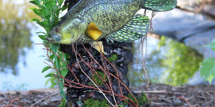 Winners of the MS Department of Wildlife, Fisheries, and Parks Names Art Contest Winners