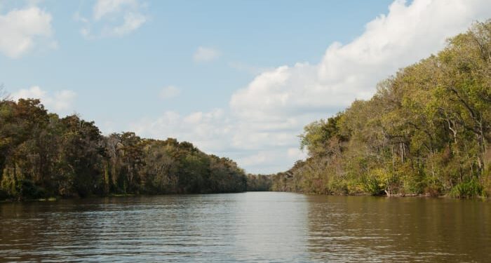 Flood Management Plans