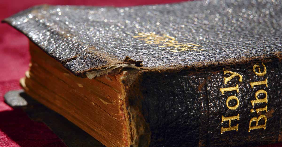 Study the Bible by James Davis