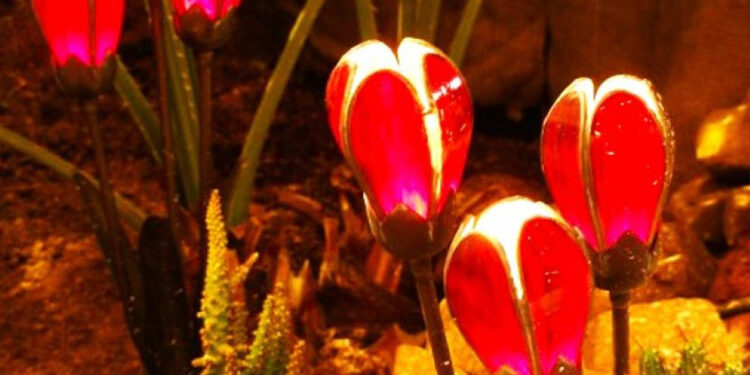Nothing in a garden says “Look at me” more forcefully than carefully placed accents. By Felder Rushing