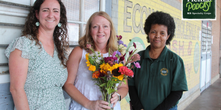 DAC Hosts Second Podcast Featuring Guests from Madison, Holmes and Lafayette Counties