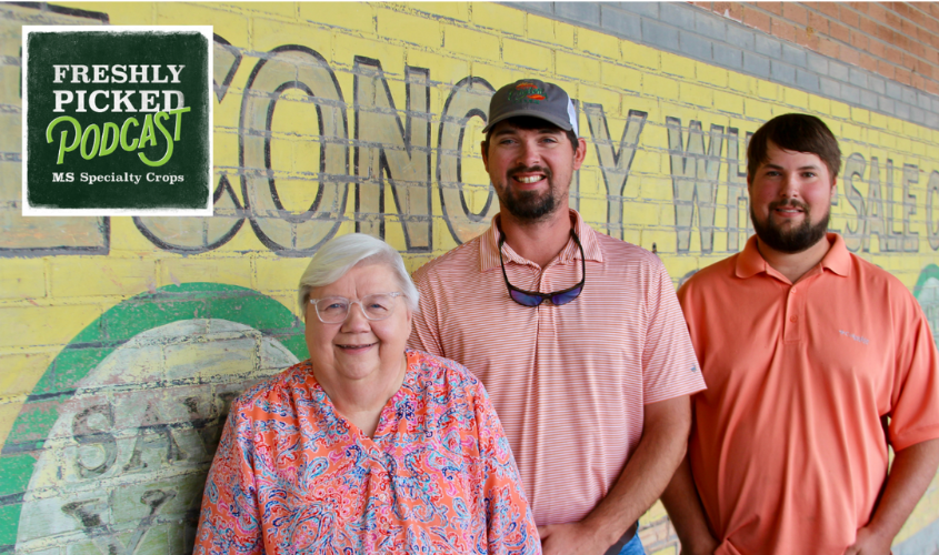 MDAC Hosts Freshly Picked Podcast Featuring Growing Seasons with Special Guests from Calhoun, Chickasaw and Choctaw Counties