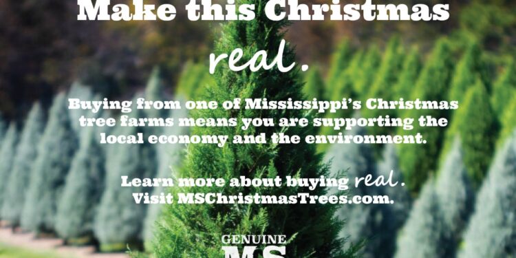 Mississippi Christmas Trees!