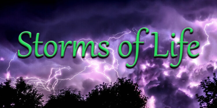 Rise above the storms of life. By Sharon Womack