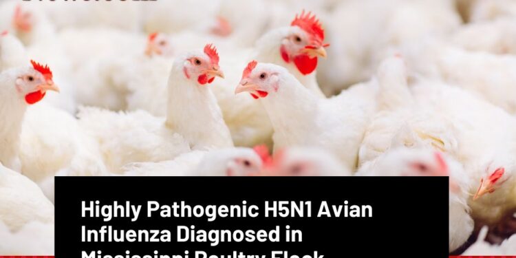 Highly Pathogenic H5N1 Avian Influenza Diagnosed in Mississippi Poultry Flock