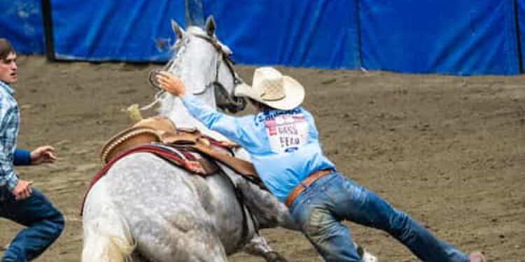 Concert-Only Tickets Available for Two Sold Out Dixie National Rodeo Performances