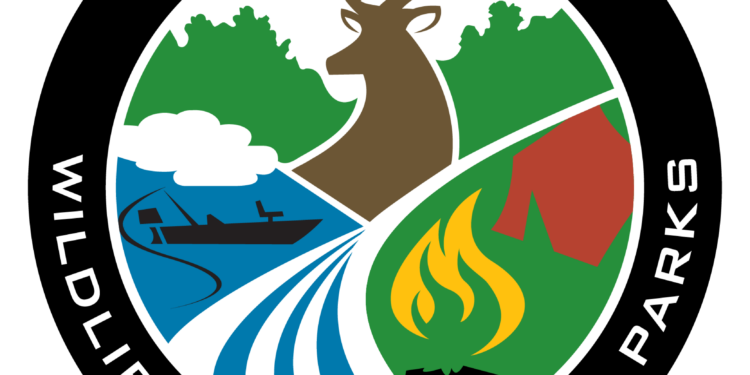 MDWFP 2025 Youth Art Contest Announced