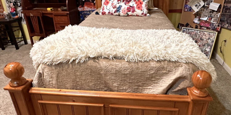 Twin Bed, mattress, box springs, head, and foot board for SALE