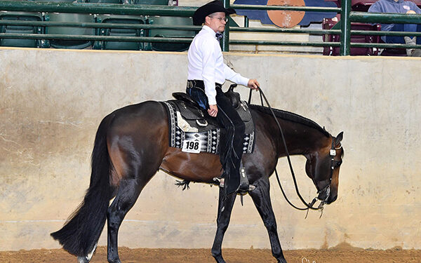Dixie National Equine and Junior Round-Up Livestock Shows Kick Off This Weekend