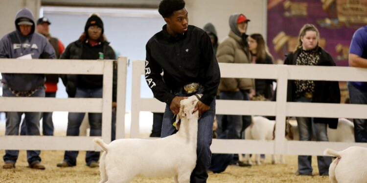 Schedule of 60th Annual Dixie National Livestock Show and Rodeo Events Taking Place