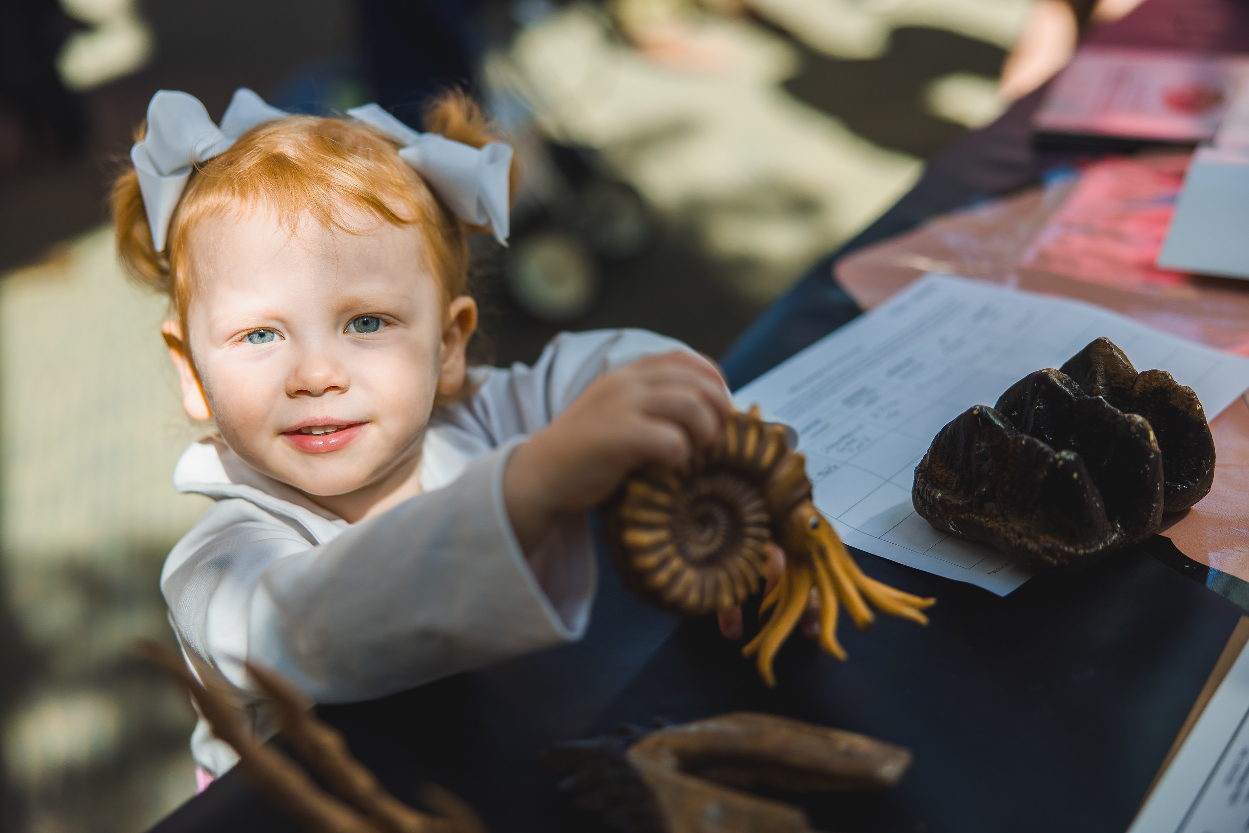 Natural Science Museum to Host Fossil Road Show on March 1, 2025