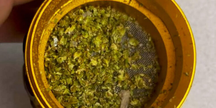 Marijuana Laced with Methamphetamine & Fentanyl a Continued trend by Chief Denis Borges