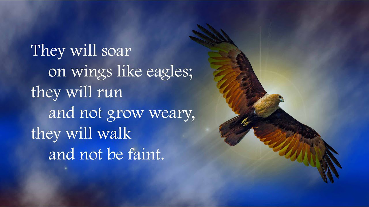 “Those who hope in the Lord will renew their strength.”