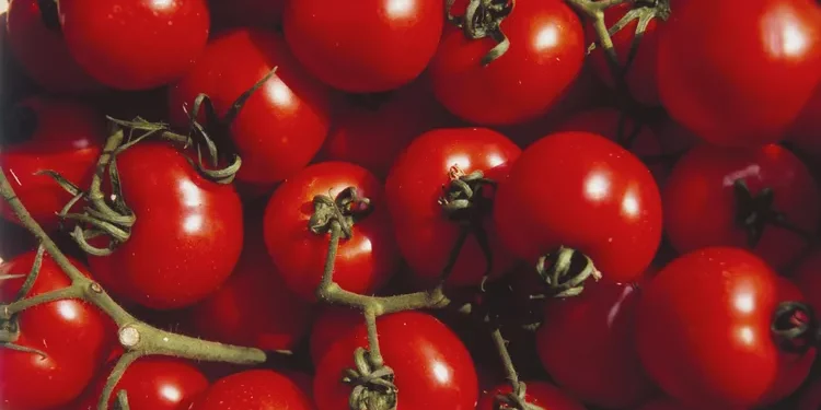 Recalls: Tomatoes, Cookie Dough, & Charcuterie Meats