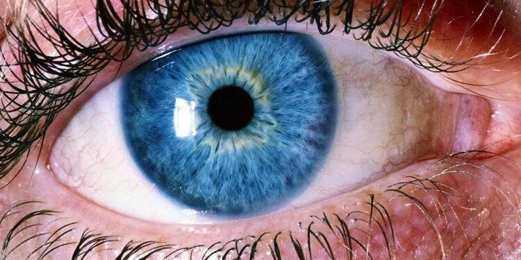 Pray to have eyes that see the best in people