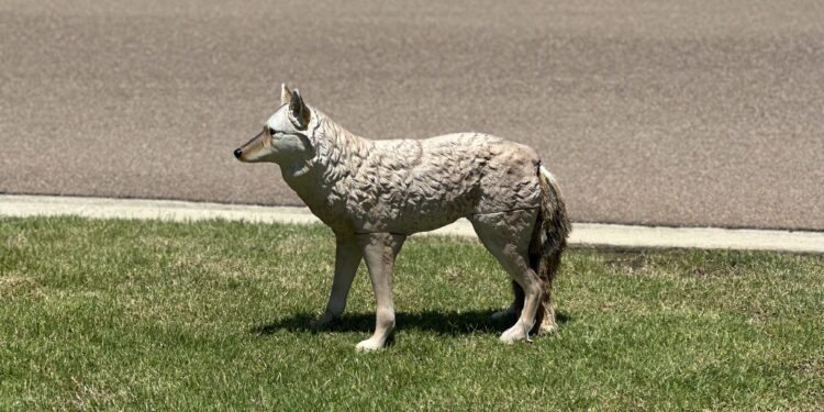 What’s This???