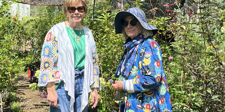 Out and About with Sue: Police, Park, and Flowers!