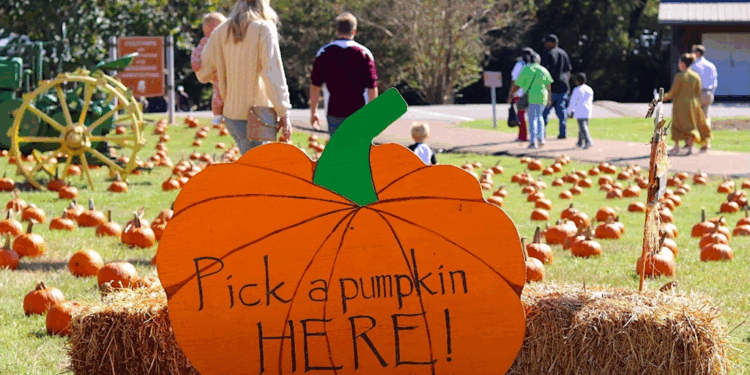 Mississippi Agriculture and Forestry Museum Announces Annual Pumpkin Adventure