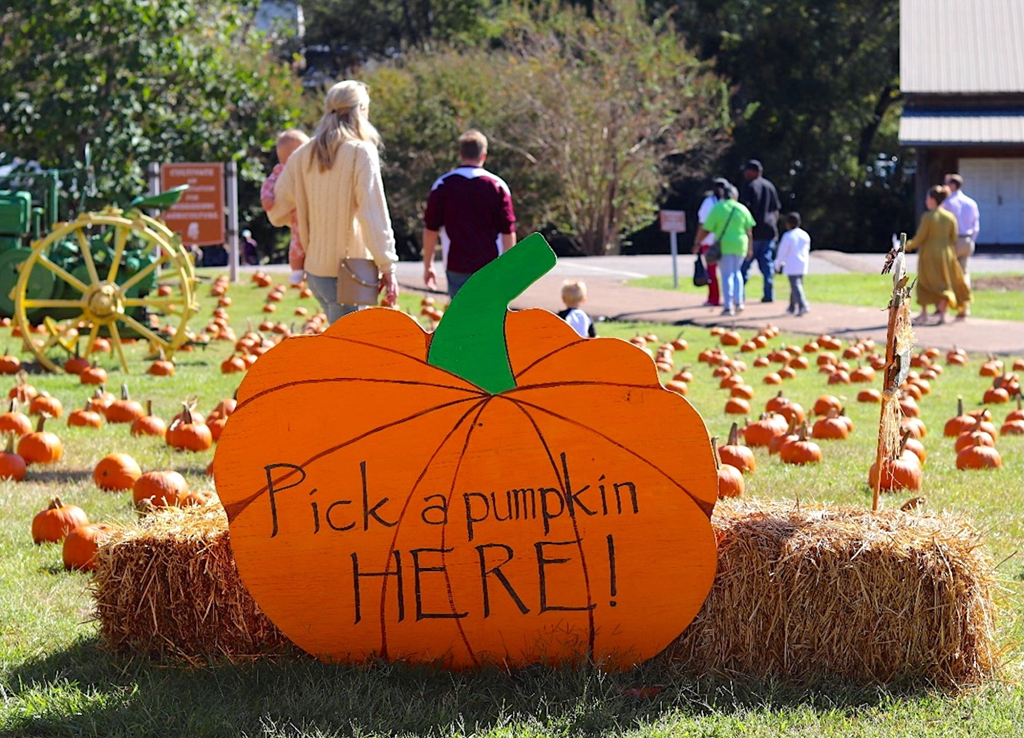 Mississippi Agriculture and Forestry Museum Announces Annual Pumpkin Adventure