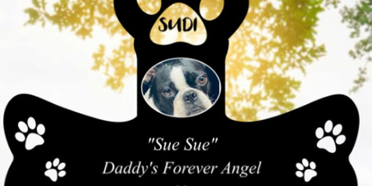 Daddy’s forever Angel…