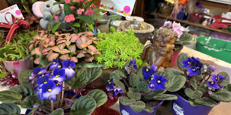 Love Is in the Air… Visit Hand’s Nursery 💘🌸
