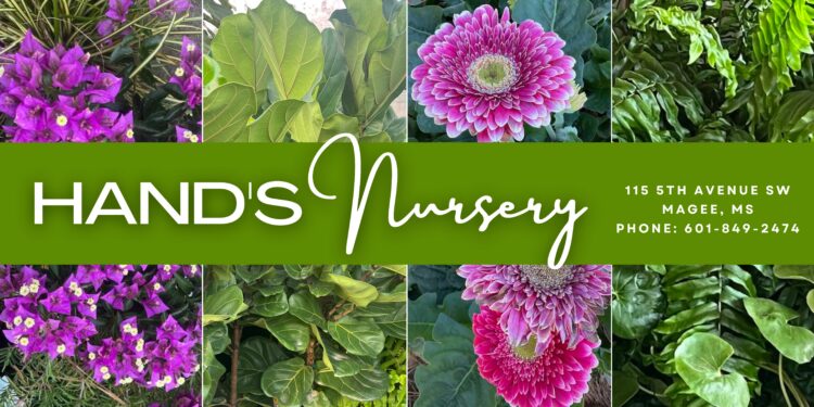 Spring at Hand’s Nursery
