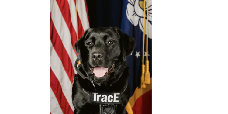 K 9 TracE to get Donation of Body Armor