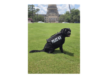 K9 TracE Receives Body Armor