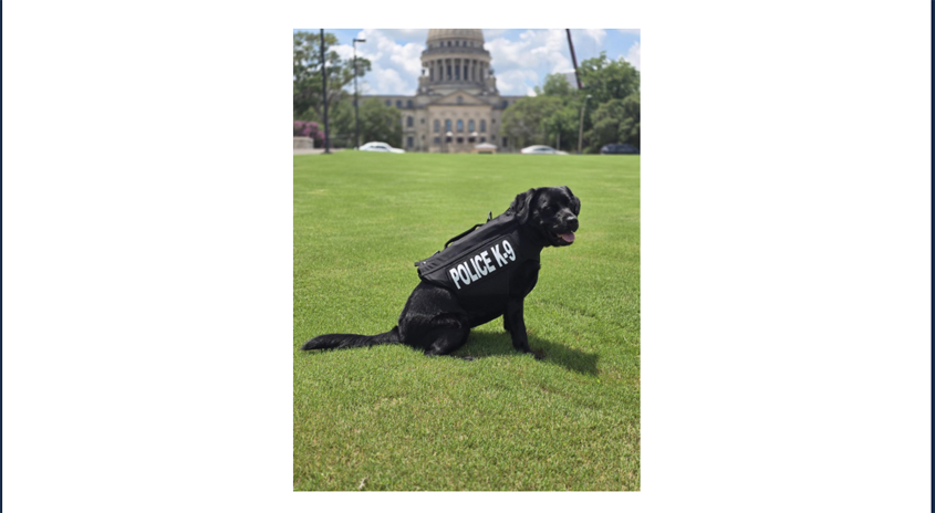 K9 TracE Receives Body Armor