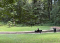 City of Magee Joins the Mississippi Arboreta Trail