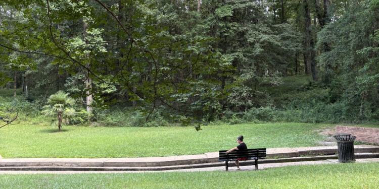 City of Magee Joins the Mississippi Arboreta Trail