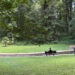 City of Magee Joins the Mississippi Arboreta Trail