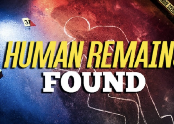 Human Skeletal Remains Found in Simpson County; Investigation Underway