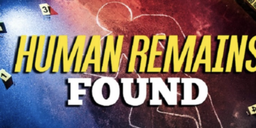 Human Skeletal Remains Found in Simpson County; Investigation Underway