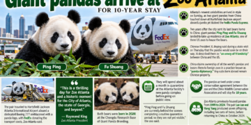 Giant Pandas Arrive at Atlanta Zoo for a 10 year stay!
